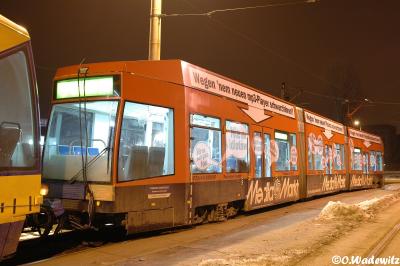 1125 Lausen 2010-01-21